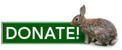 Donate!